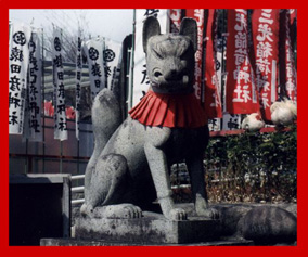 20070818091248-inari-portada-blog-casa-inari.jpg
